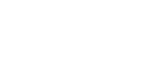 Zid Store